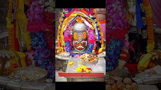 Jai Shri mahakal Aaj ke 11112024 bhasmaarti shringar darshan ujjain shortvideo trending mahakal [upl. by Thomas]