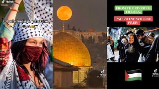 FREE PALESTINE  Free Palestine protest  Tiktok compilation [upl. by Geldens]