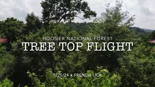 Flight Over the Hoosier National Forest A Broadwinged Hawks Perspective [upl. by Zedekiah]