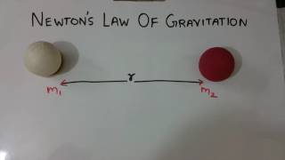 Hindi Newtons law of gravitation [upl. by Ulane]