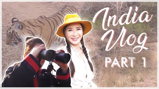 MY FIRST TIME IN INDIA WE VISITED THE SAFARI PART 1  JAMIE CHUA [upl. by Idalla]