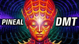 CAUTION ✋ DMT Will Be RELEASED into Your PINEAL GLAND VERY POWERFUL [upl. by Latricia303]