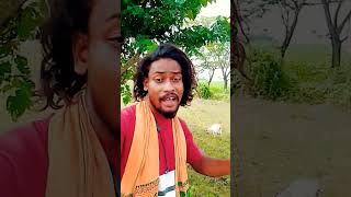 Napam lagik mone tiye koyog bara yek New Santhali dadai Short Video 2024 [upl. by Burman]