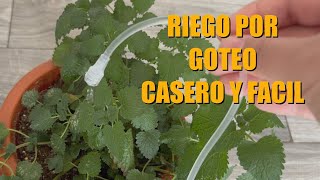 RIEGO por GOTEO casero FÁCIL para MACETAS  Sin electricidad grifo o bomba [upl. by Itch517]