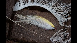 Stripped Ostrich Deceiver  1 Minute Tying Tutorial [upl. by Marielle]