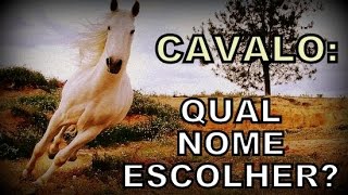 Nome para cavalo [upl. by Orel]