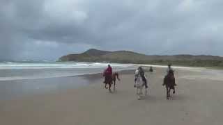 Group Beach Gallop October 2015 [upl. by Aisatsan]