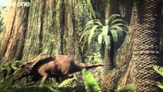 Tyrannosaur Rivalry  Planet Dinosaur  Episode 3  BBC One [upl. by Ynneg]