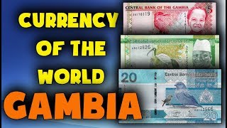 Currency of the world  Gambia Gambian dalasi Exchange rates Gambia Gambian banknotes [upl. by Jolda]