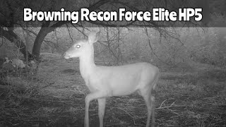 Browning Recon Force Elite HP5 Trail Camera Aug 27Sept 28 2024 [upl. by Tam]