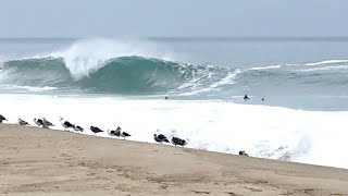 Surfers and Skimboarders charge first swell at Aliso Shorebreak RAW FOOTAGE [upl. by Ardys]