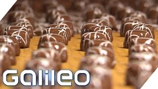 Herstellung der MiniPraline  Galileo  ProSieben [upl. by Libyc]