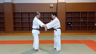 Budo training in Aikido No 102 Kiriotoshi切落 [upl. by Belford]