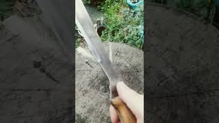 Unlocking the True Potential Martindale Golok no2 Sharpened by Wessex Blades knife knifeskills [upl. by Kelli]