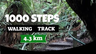 1000 Steps Dandenong Ranges National Park Victoria [upl. by Akiaki]