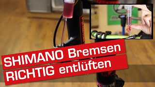 SHIMANO Bremsen MTB schnell und einfach entlüften Deutsch  XT BRM8000 [upl. by Silecara]