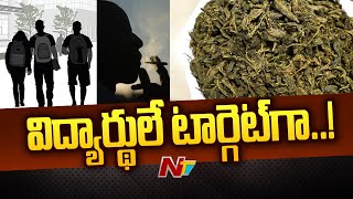 Ganja Smuggling Racket Busted Three Arrested In Vissannapeta  NTR District  Ntv [upl. by Vashti119]