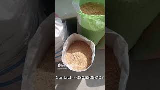 AJWA HOUSE RICE HUSK RICE HUSK ASH GARDENING AGRICULTURE FARMERS GARDENERS PRODUCT [upl. by Alrrats423]