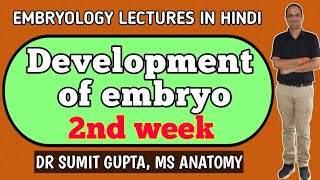 Development of embryo in 2nd week  general embryology [upl. by Cynthea426]