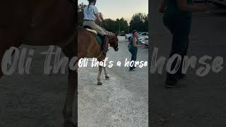 Oli that’s a horse horse idontknowwhattoputhere rideforrosie equestrian horseriding [upl. by Giah237]