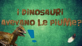 I dinosauri avevano le Piume [upl. by Remus]