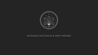 someday well know x new radicals holicede remix [upl. by Elolcin324]