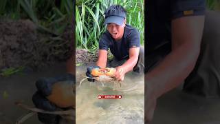 Epic Crab Catching Challenge 🌊 Underwater Crustacean Hunt crab 1millionviews [upl. by Tuck]