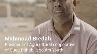 SAHARAVOICES  Mahmoud Bredah President of Agricultural Cooperative [upl. by Charisse]