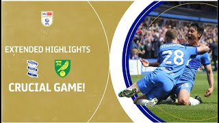 CRUCIAL GAME  Birmingham City v Norwich City extended highlights [upl. by Anees]