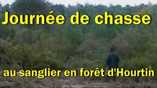 Journée de chasse au sanglier en forêt dHourtin [upl. by Josey321]