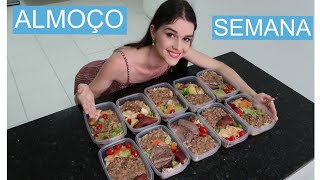 COZINHANDO OS ALMOÇOS DA SEMANA TODA  MARMITAS CONGELADAS  CARDÁPIO SEMANAL MÔNICA MEDEIROS [upl. by Yelsek]