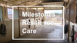 Equine Assisted Therapy at Milestones Resilience Care [upl. by Arotal391]