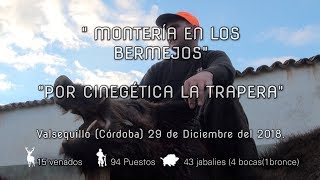 quotMONTERÍA EN LOS BERMEJOS POR CINEGETICA LA TRAPERAquot Día 29 de Diciembre 2018 [upl. by Morrie]