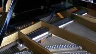 Beethoven 3 Sinf quotEroicaquot for piano 4 hands part 2 [upl. by Roosevelt922]