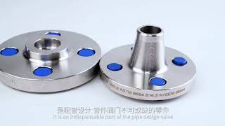 special metal hastelloy inconel incoloy monel alloy Flanges [upl. by Un]