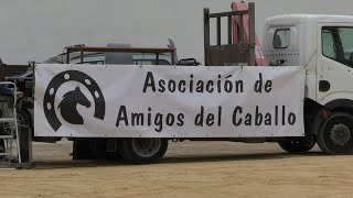 Exhibició de Cavalls Fira de LOlleria 2024 2 [upl. by Teodoor597]