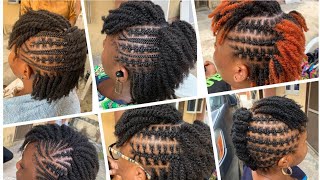 How to do mini twists on natural hair [upl. by Auqeenahs605]