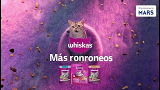 WHISKAS Más Ronroneos Fábrica 2024 [upl. by Aisac]