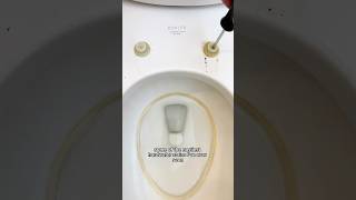 Toilet Cleaning CleanTok Approved [upl. by Landre114]