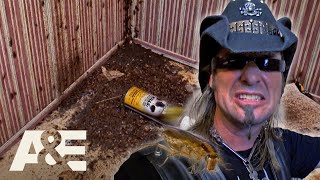 Top 3 HORRIFYING Roach Infestations  Billy the Exterminator  AampE [upl. by Prisca]