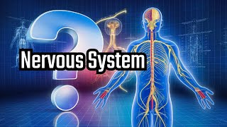 Nervous System Complete topic Under 7 Minutes [upl. by Gnex]