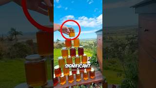 How Honey Is Made At Home🍯 shorts honey diy trending shortsfeed [upl. by Bigner]