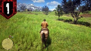 Red Dead Redemption 2  FULL LIST OF ALL CHEAT CODES How to Enter amp Use Them [upl. by Esiuqram]