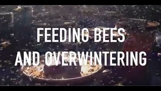 Feeding Bees and Overwintering [upl. by Ainoz]