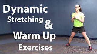 Workout Stretching and Easy Warm Up Exercises  Static and Dynamic Stretching [upl. by Allcot454]