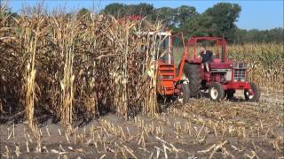 Maishakselen met oude hakselaars in Markelo deel 1 Oldtimer maishäckseln  chopping maize [upl. by Bikales495]