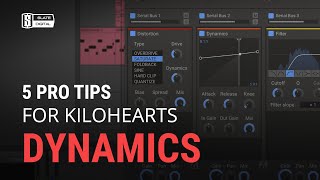 5 PRO TIPS for Kilohearts Dynamics [upl. by Paxton248]