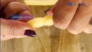 Treating potatoes with PEF Pulsed Electric Field [upl. by Enitsrik]