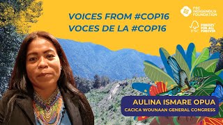 Voices from COP16  Aulina Ismare Opua on the value of Indigenous territories [upl. by Becki495]