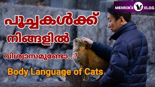 Cat Body Language In Malayalam  പൂച്ച നിങ്ങളെ വിശ്വസിക്കുന്നുണ്ടോ [upl. by Naimaj]